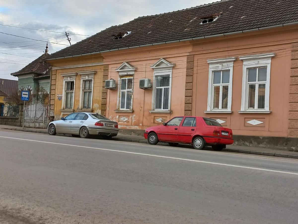 Salvo